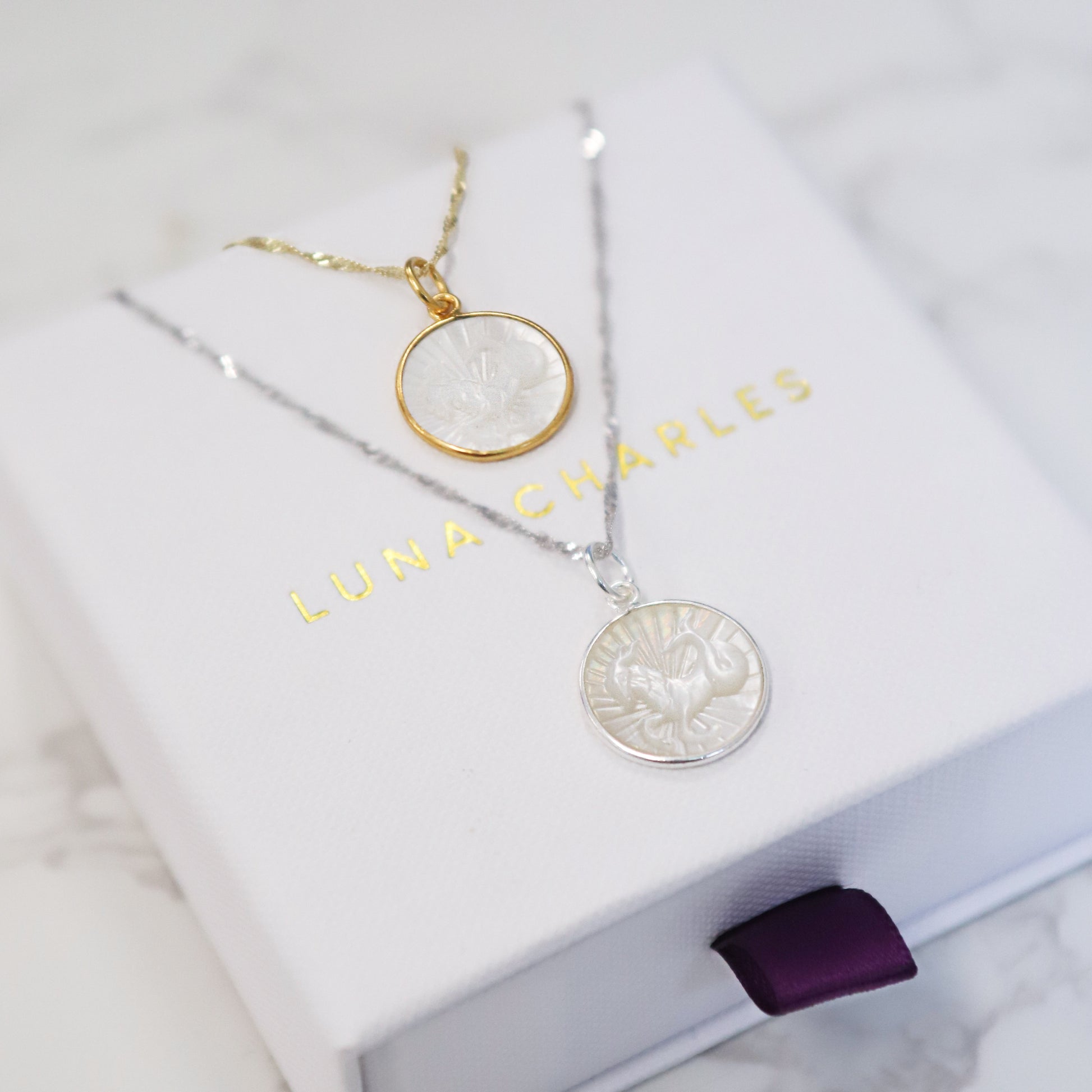 ecomposer-star sign-capricorn