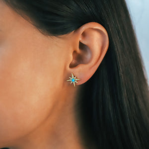 ecomposer-birthstone-december