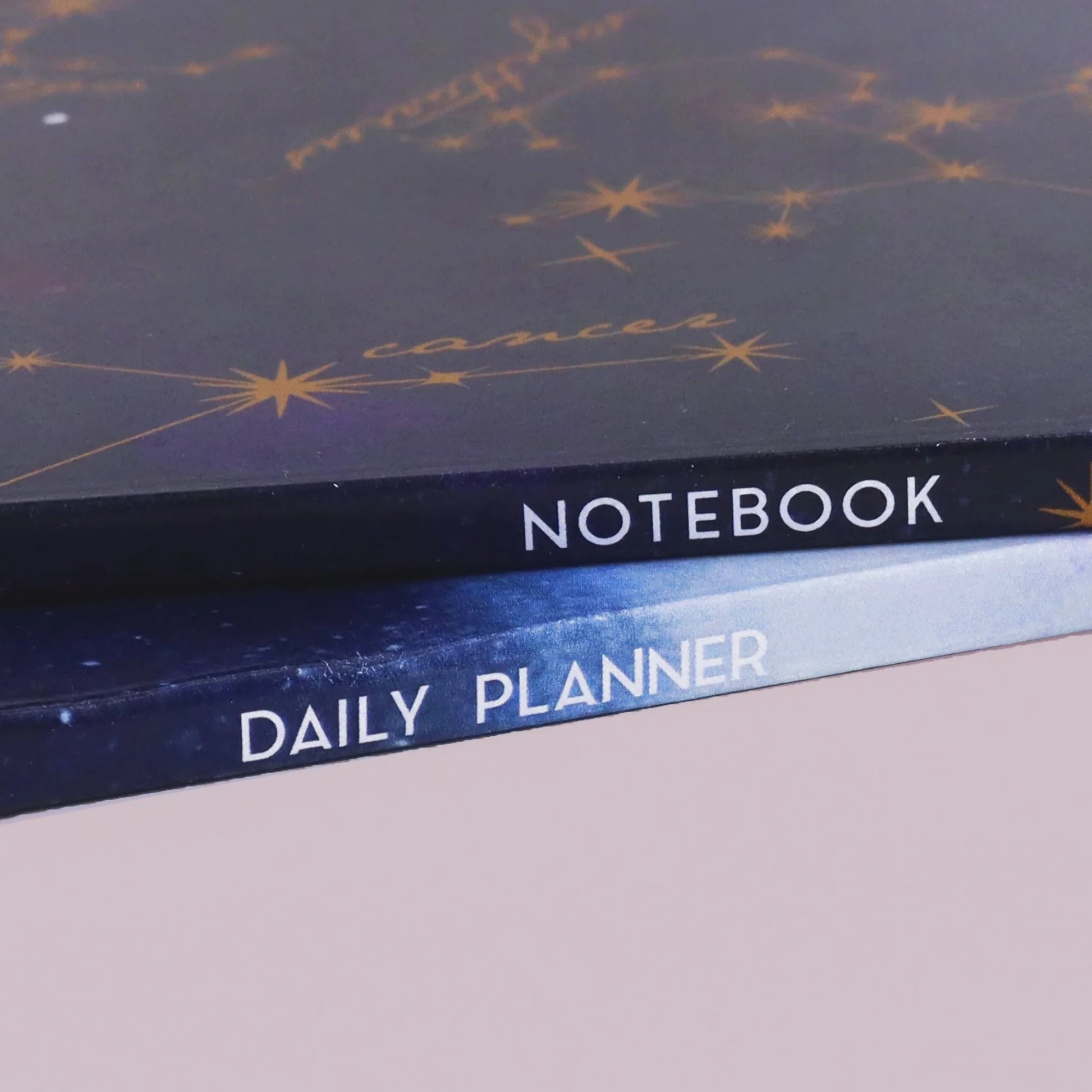 Fawn & Thistle | Celestial Constellation Notebook