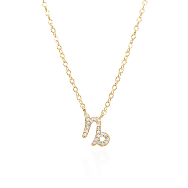 Capricorn zodiac hot sale sign necklace